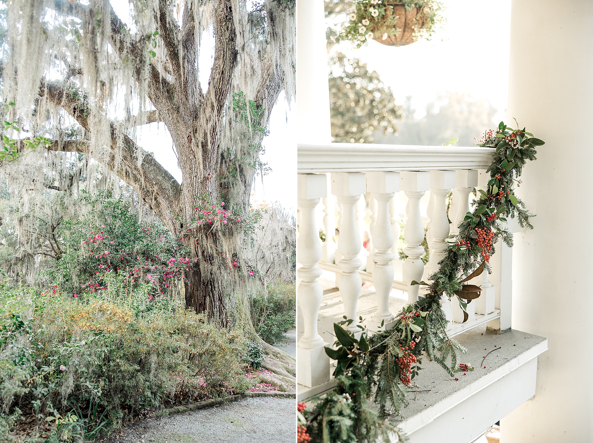 the lovely grounds of Magnolia Plantation and Gardens in Charleston