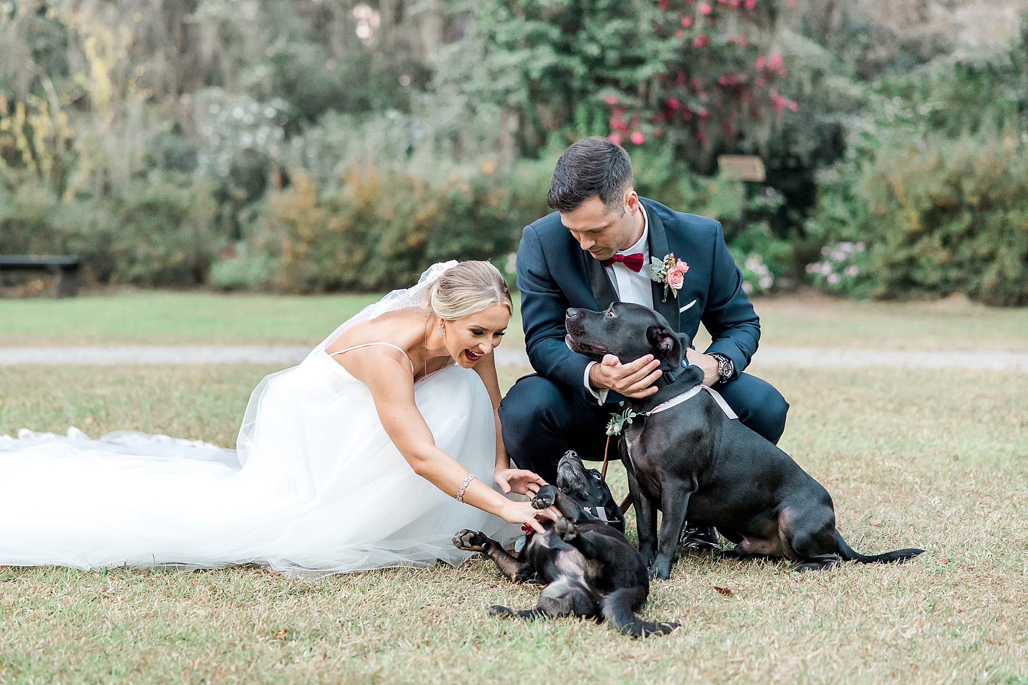 bride and groom with their two dogs after wedding