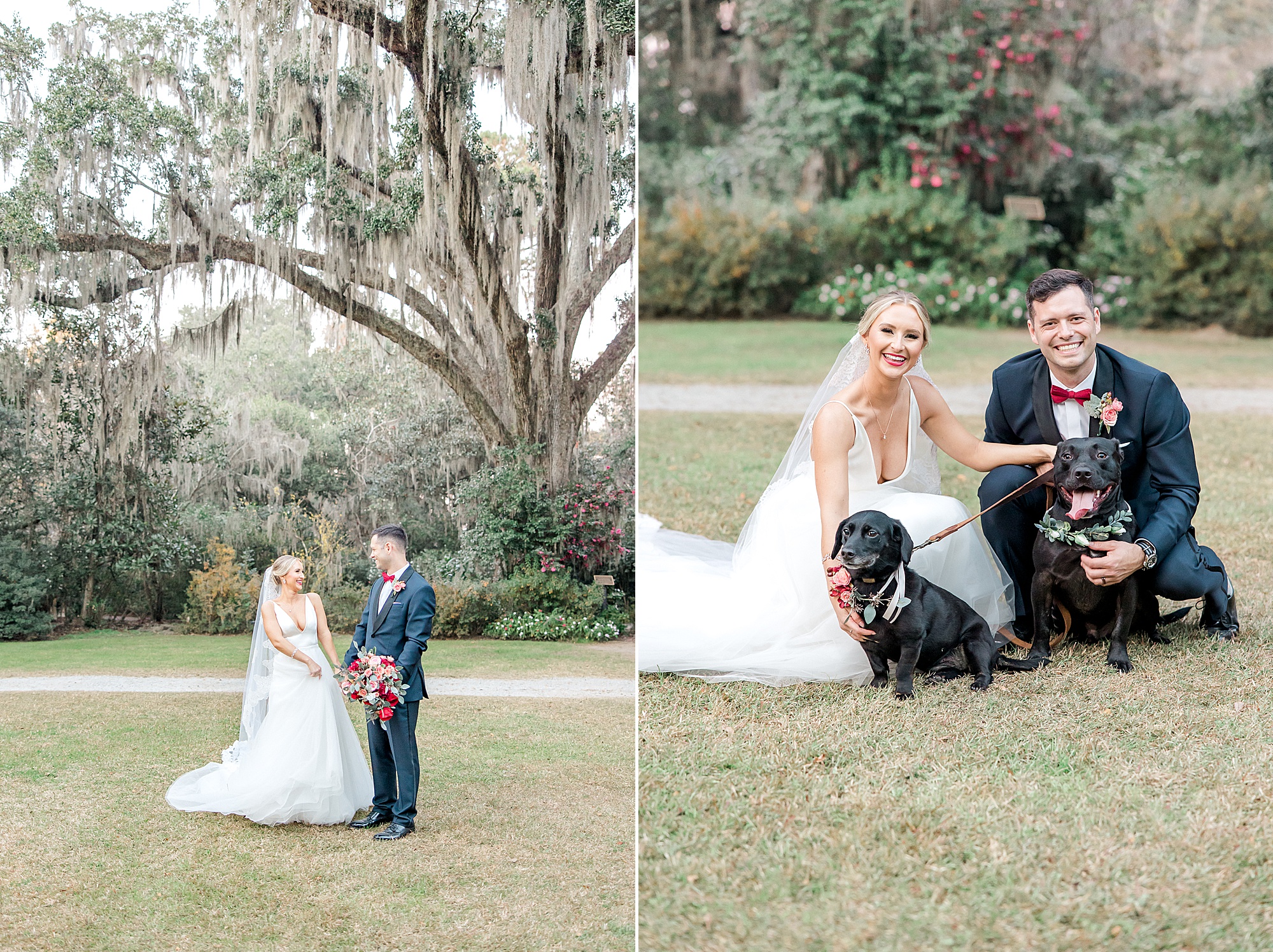 bride and groom hug their dogs after wedding ceremony