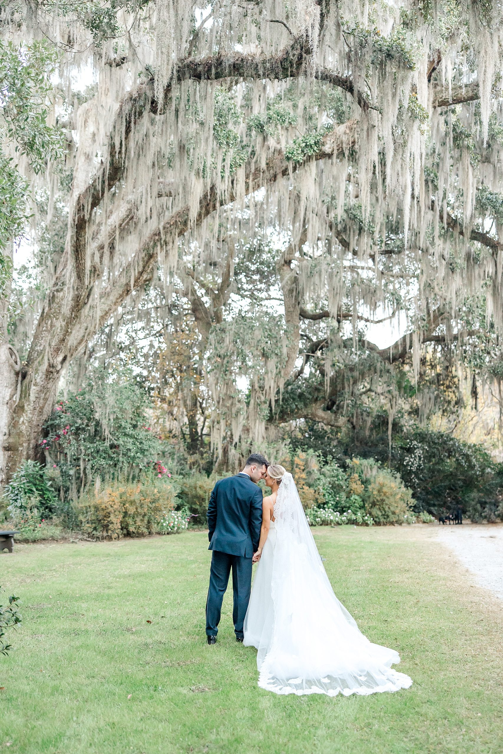 couple under oak tree at Magnolia Plantation and Gardens in Charleston
