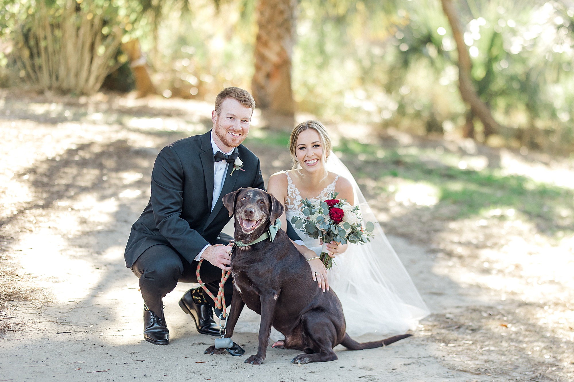 bride and groom with adorable dog