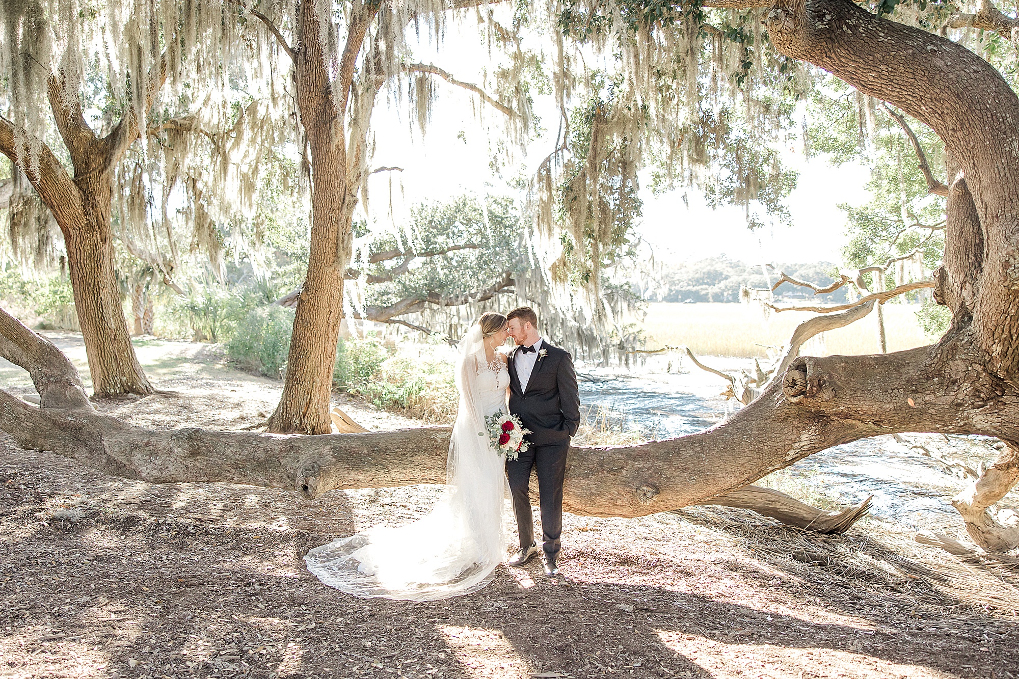 bride and groom sit on low branch of oak tree