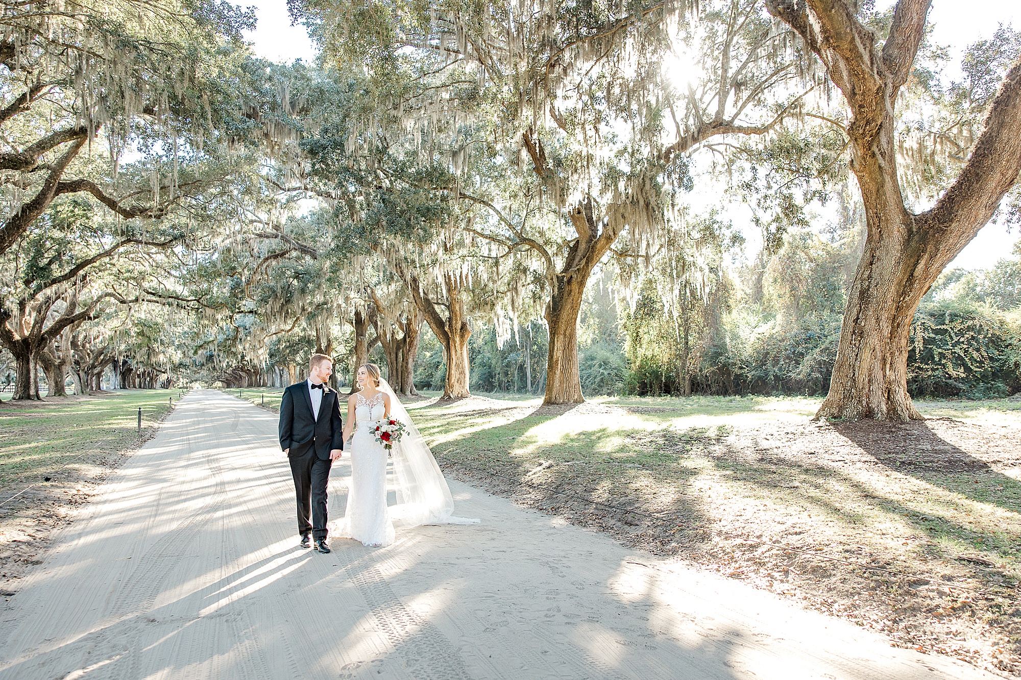 couple walking along oak avenue at Boone Hall Plantation in Charleston SC