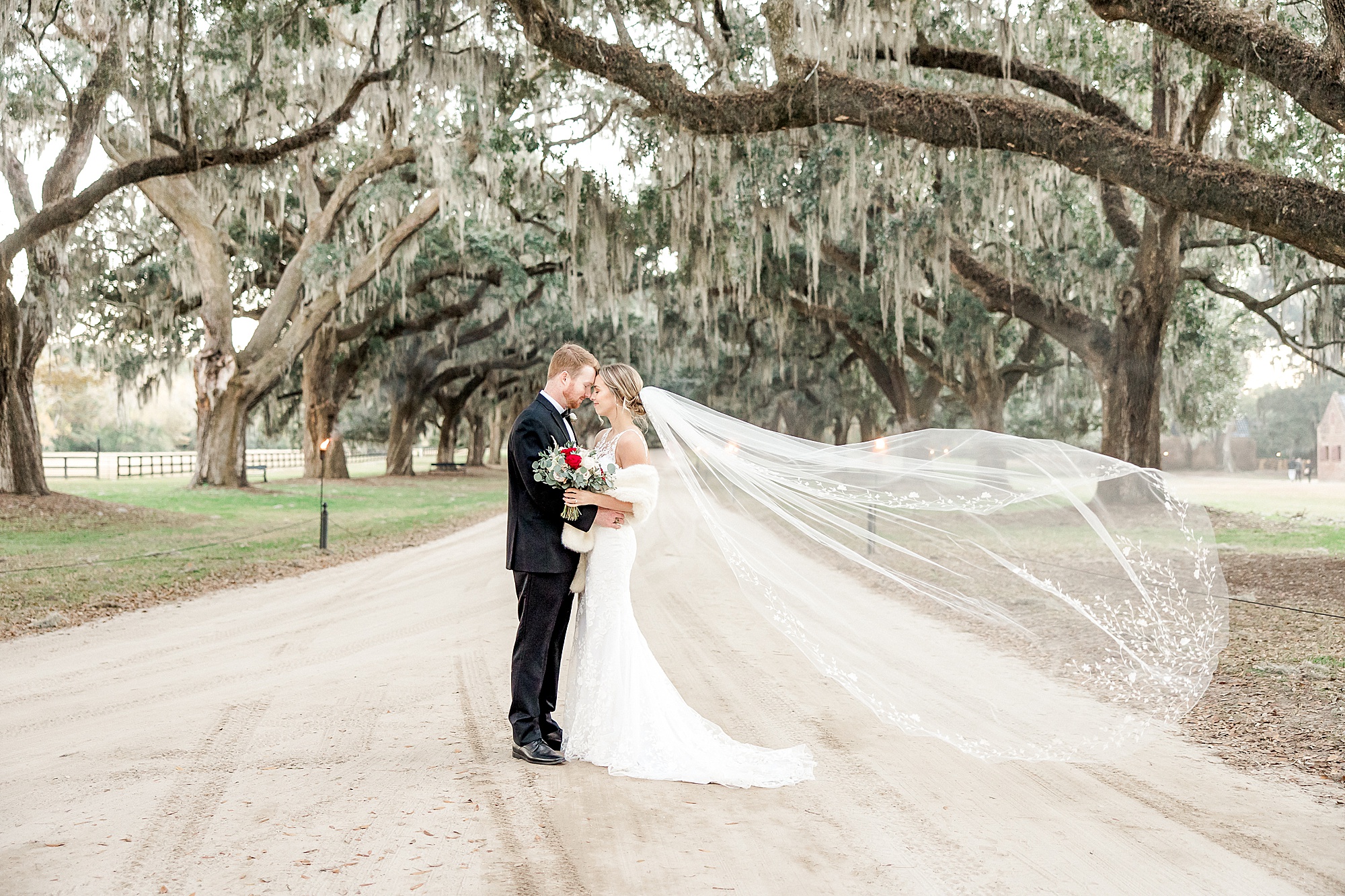 newlyweds under oak trees covered in spanish moss after Boone Hall Plantation Wedding