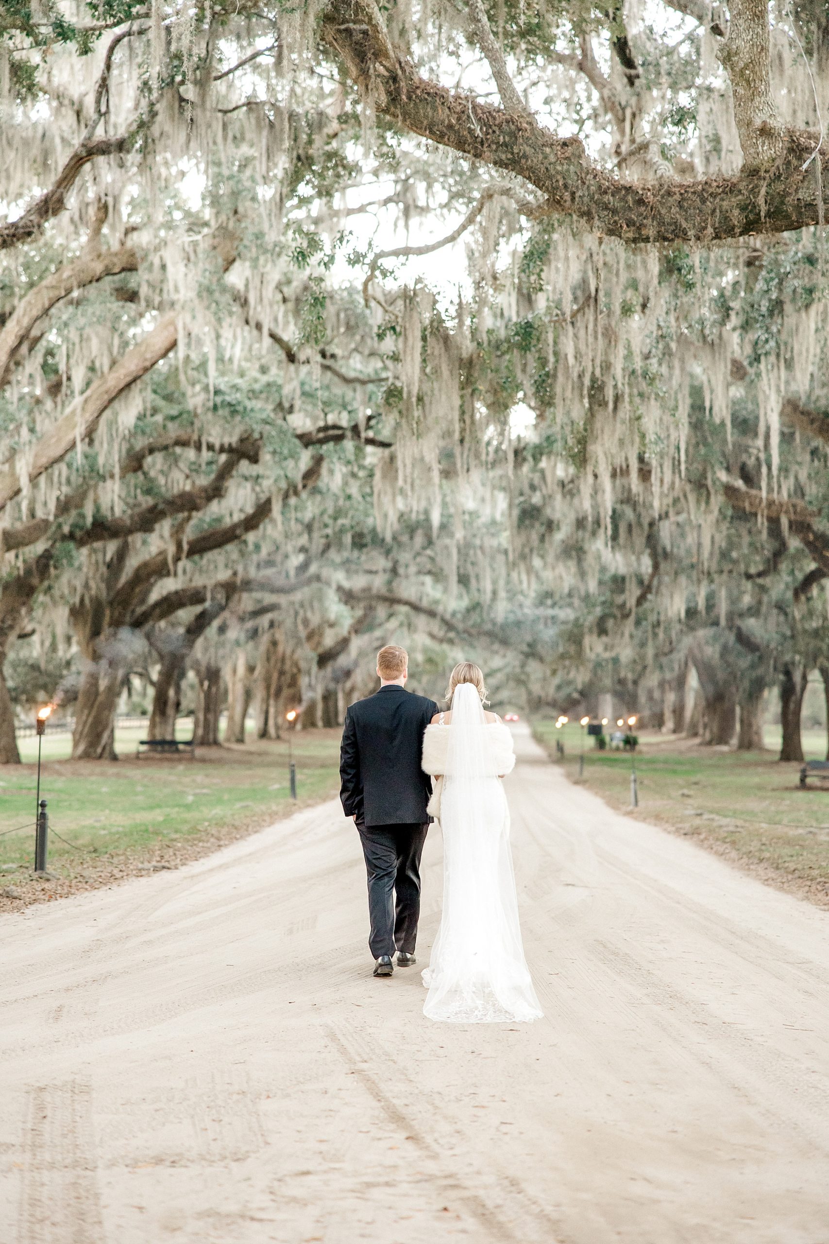 bride and groom walking together down oak avenue at Boone hall