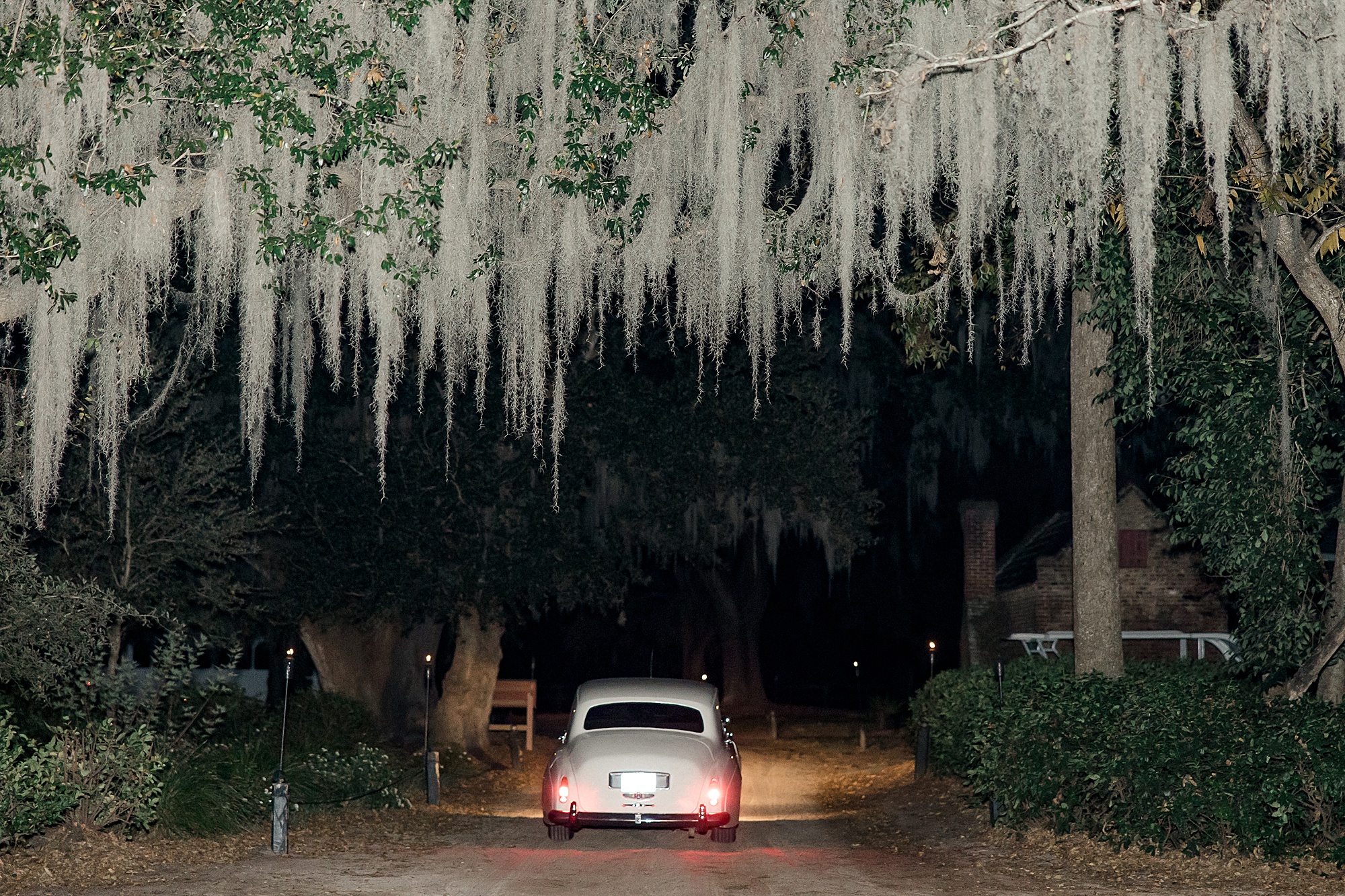 bride and grooms exit car driving down oak avenue at Boone Hall Plantation wedding in Charleston SC