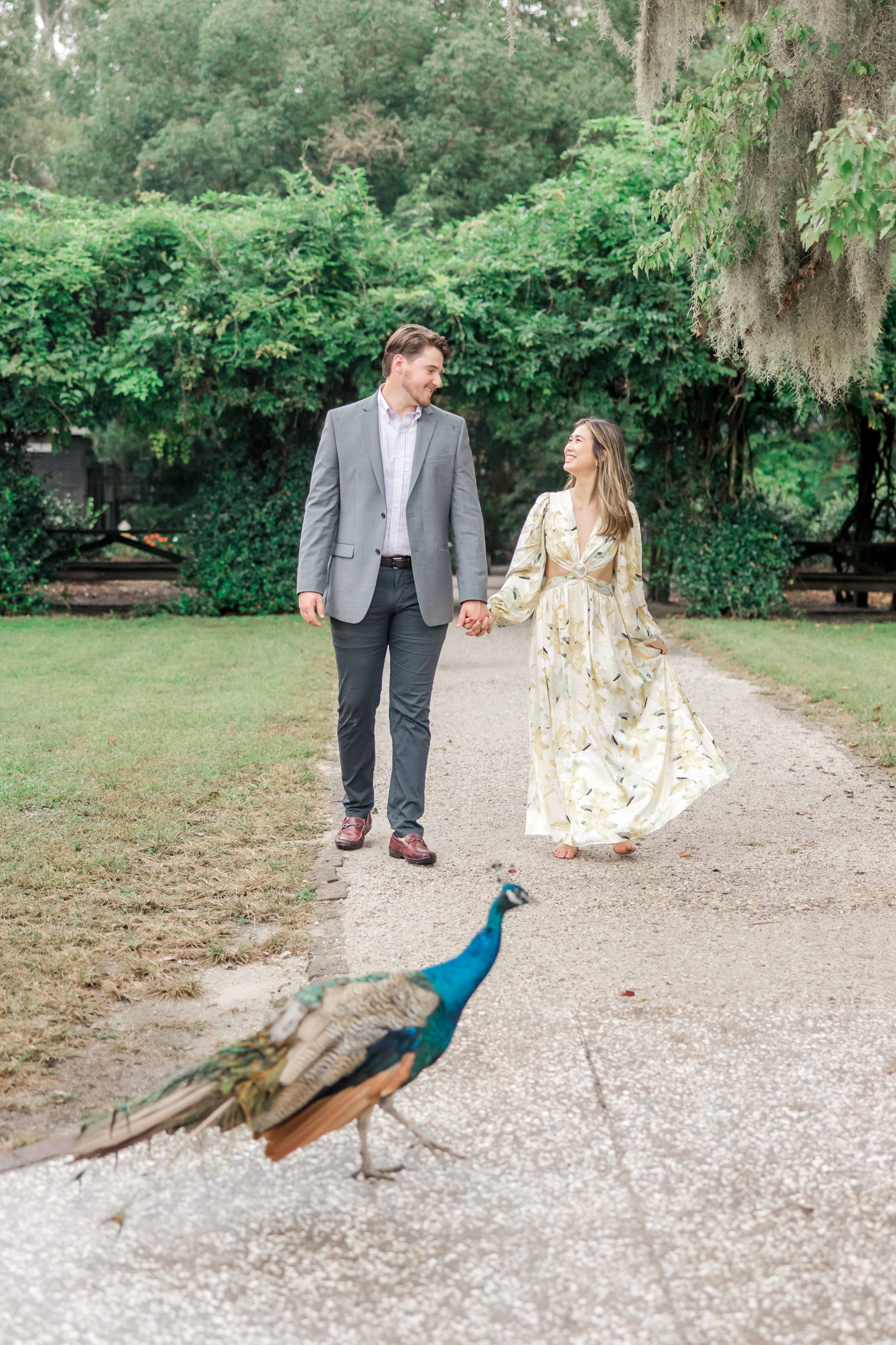 Couple walks with peacock at Magnolia Plantation and Gardens