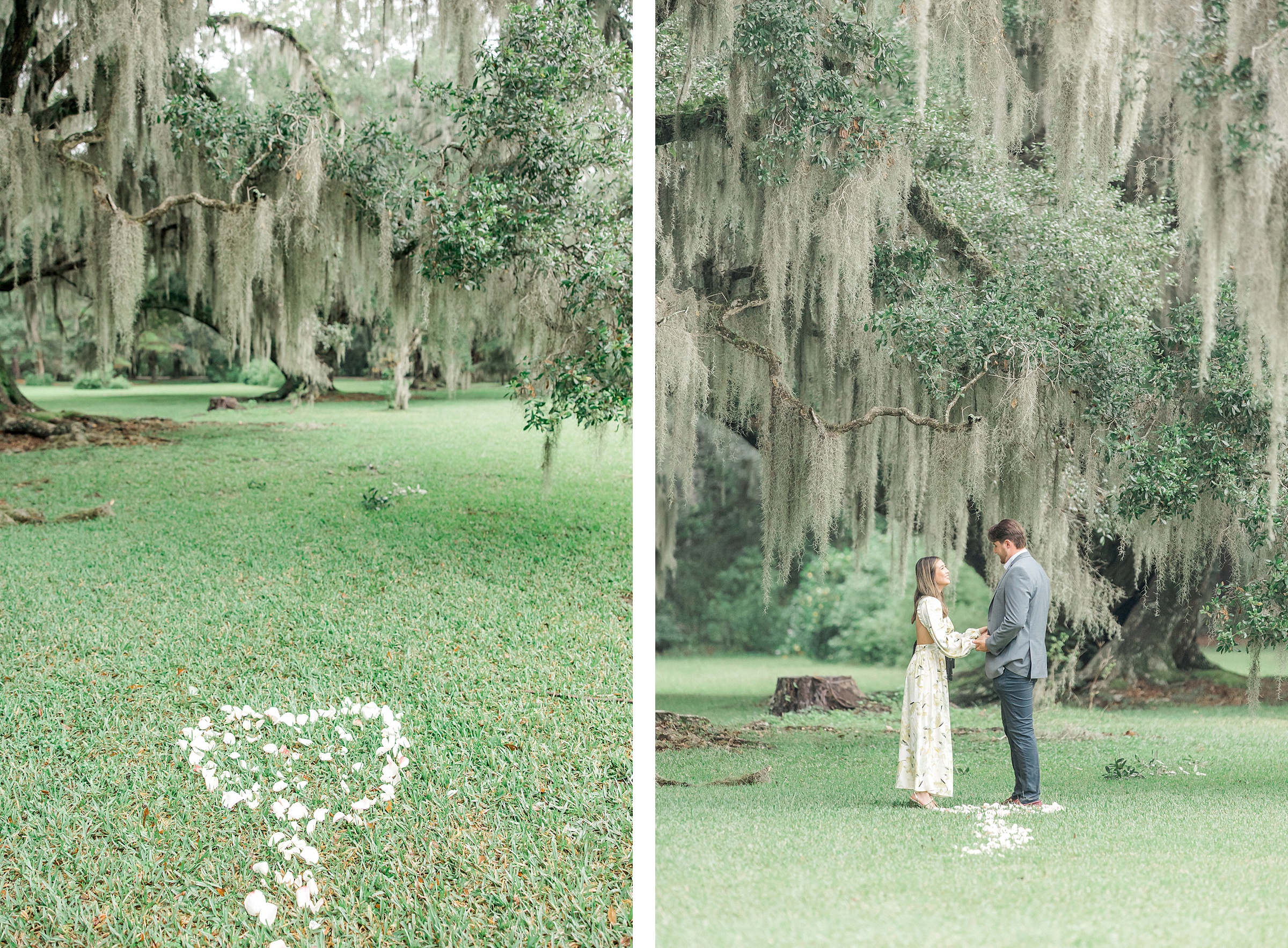 Proposal under oak trees at Magnolia Plantation and Gardens