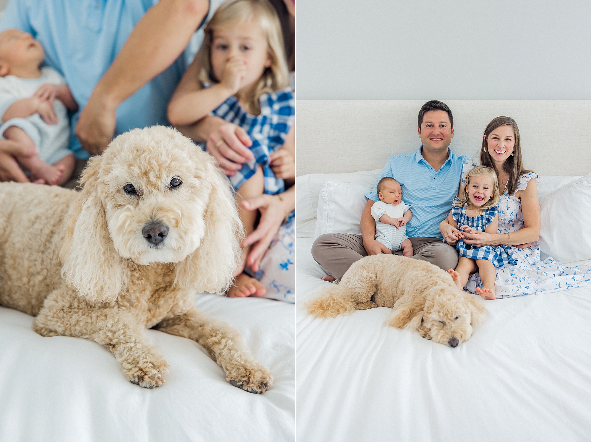 family of four and their dog relax on bed during In-Home Newborn + Family Session in Mount Pleasant, SC