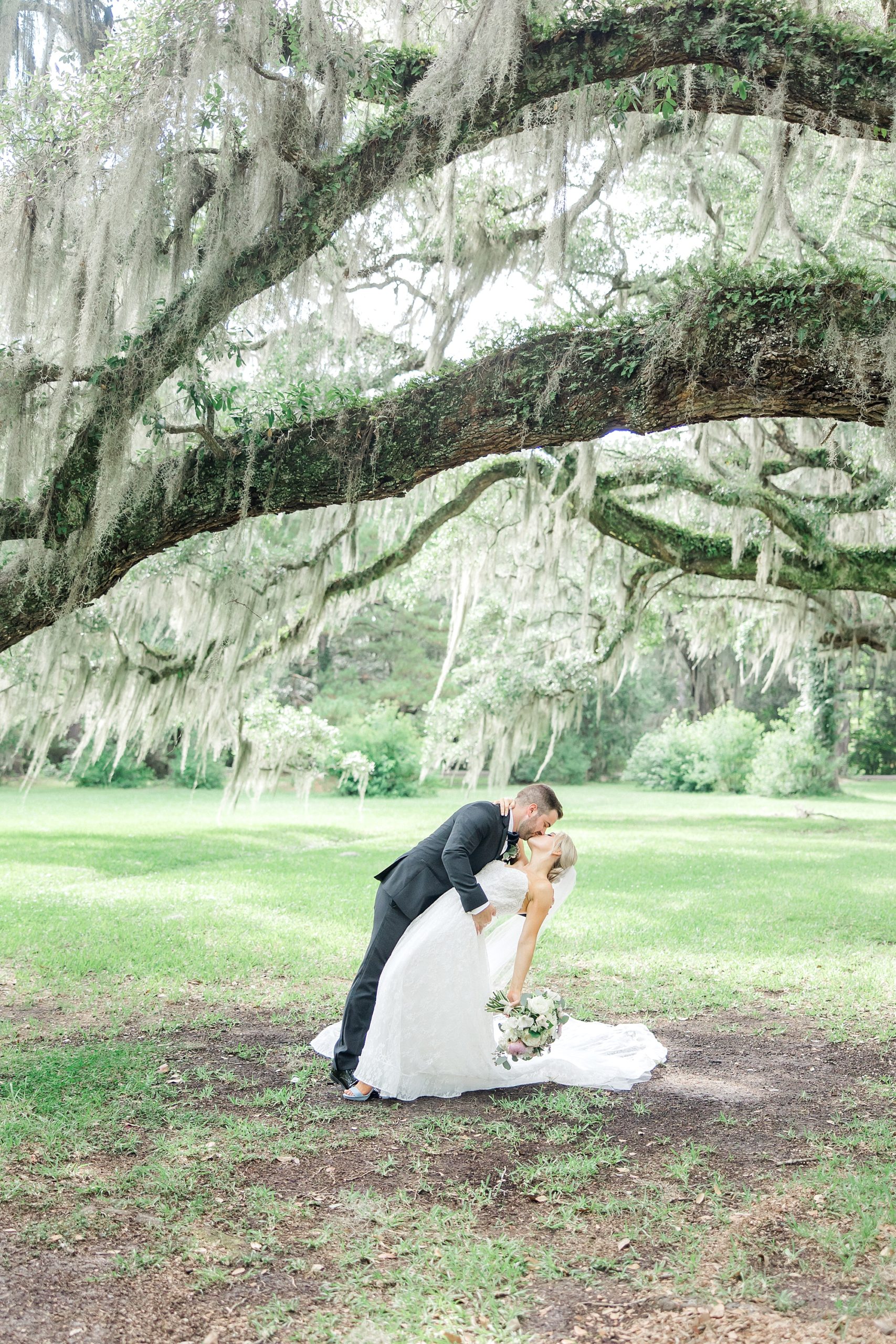 man dips his bride with a kiss under ancient oak tree