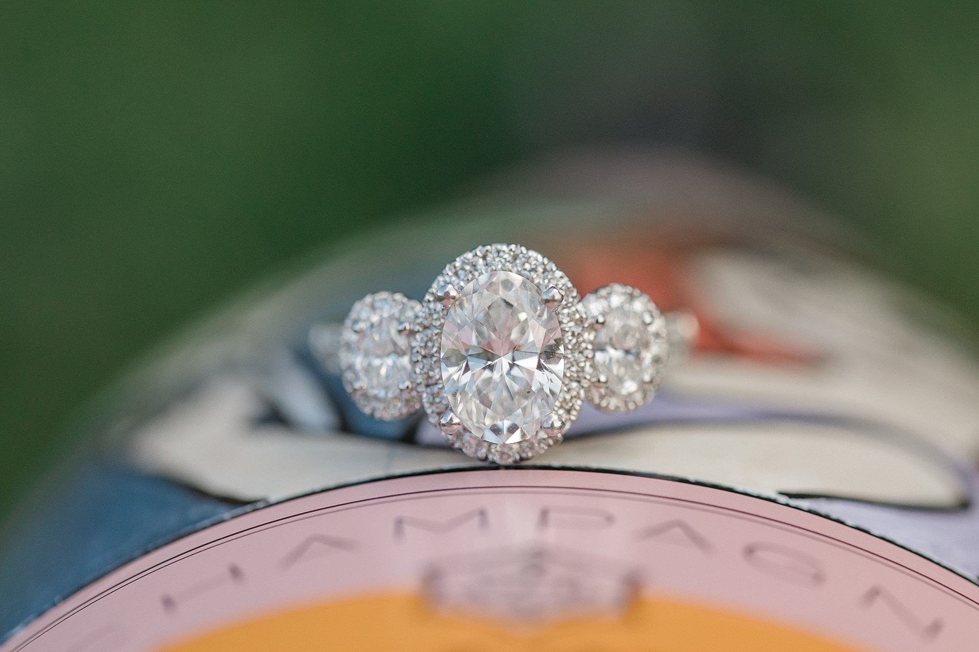 engagement ring from Romantic Surprise Proposal at Boone Hall