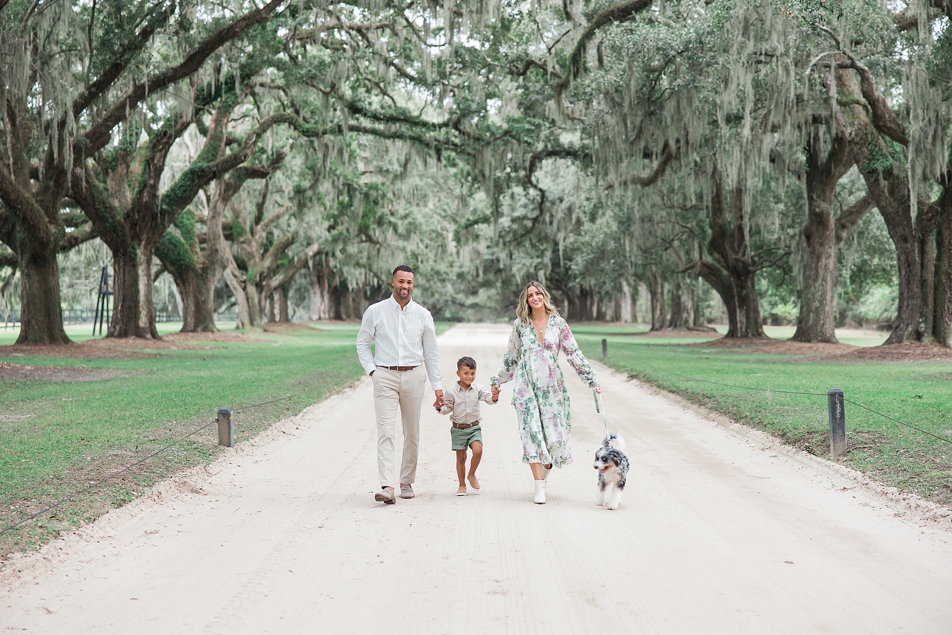 family walk together with their dog down the avenue of oaks