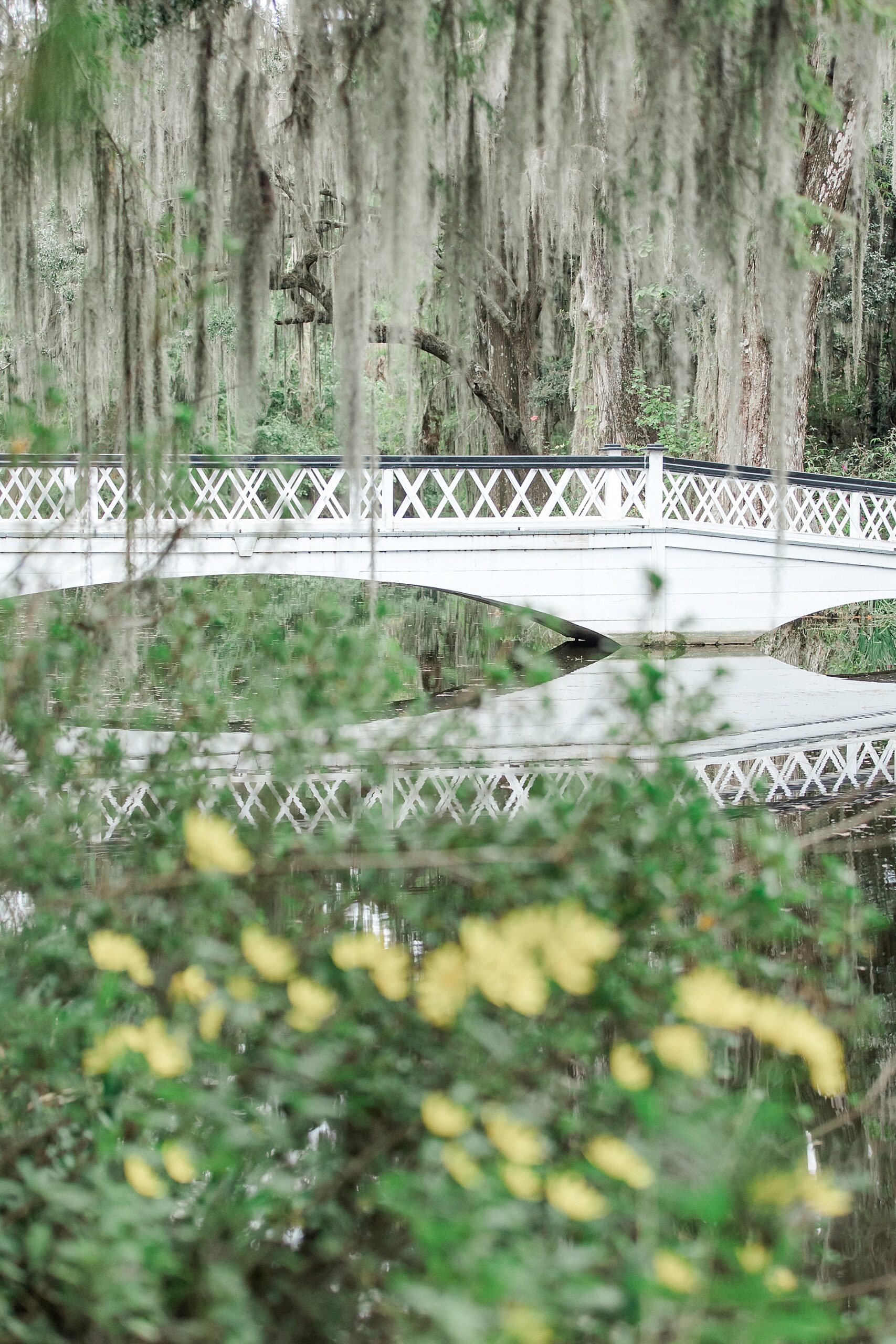 gardens and blooms at Magnolia Plantation
