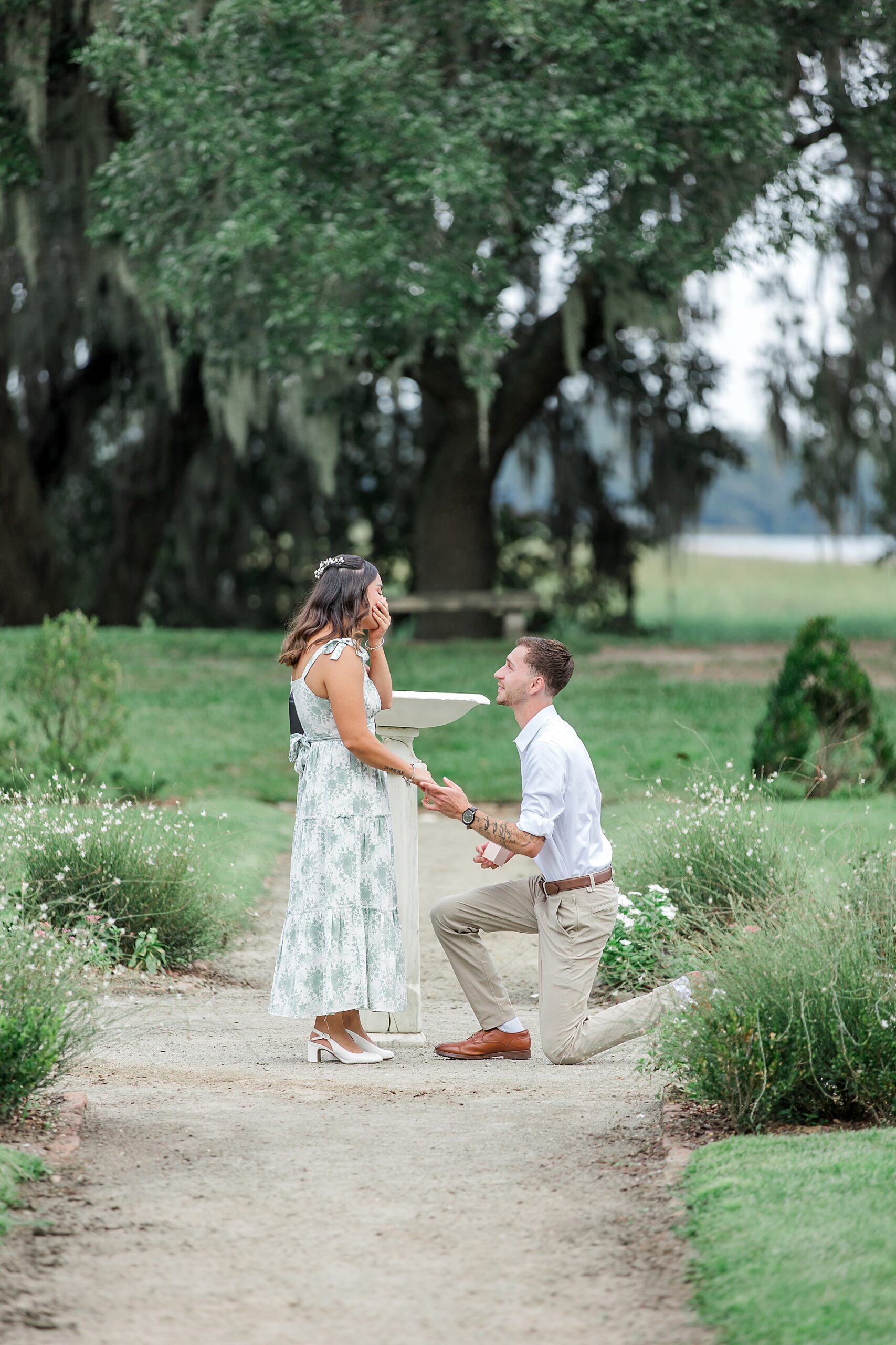 Romantic garden proposal at Middleton Place