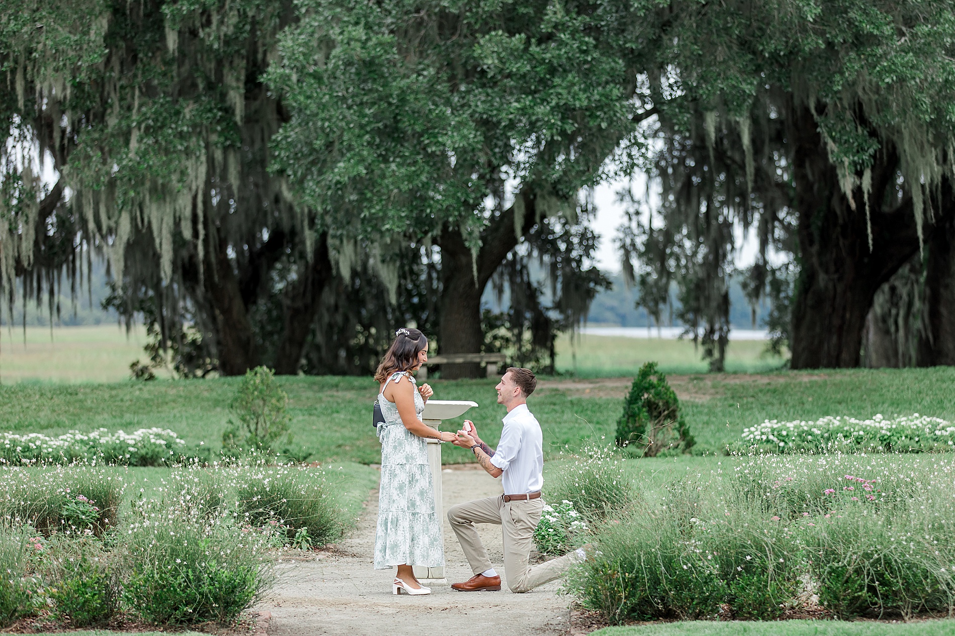 man proposes to his girlfriend at Middleton Place