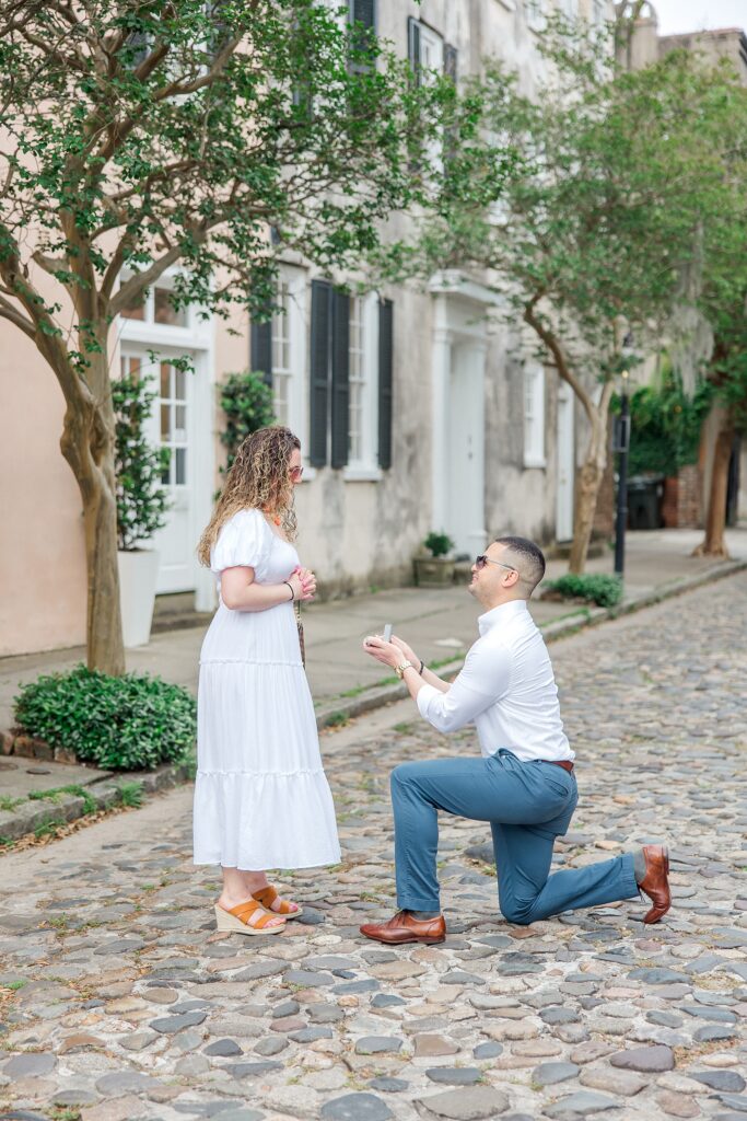 Historic Charleston proposal